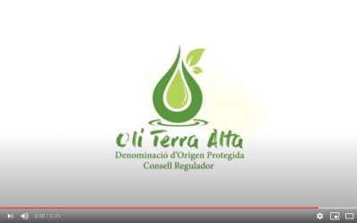 Spot DOP Olive Oil Terra Alta